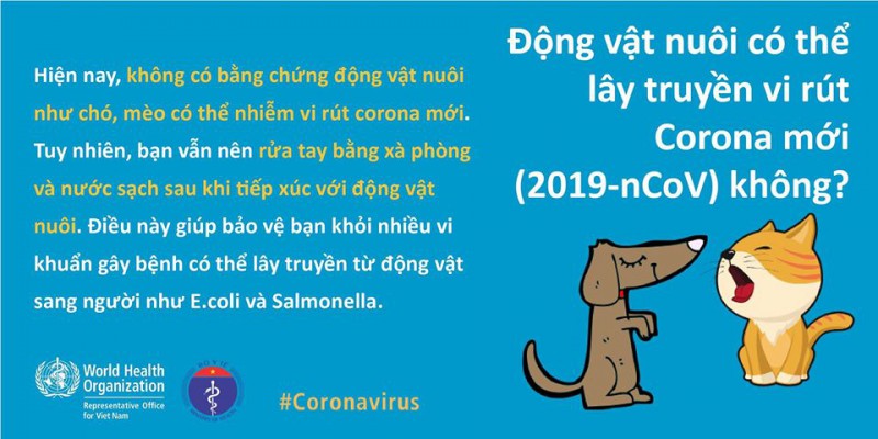 Tin nhanh - Uống rượu bia, ăn tỏi có bảo vệ bản thân khỏi bị nhiễm virus corona không? (Hình 14).