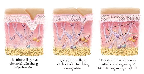 Sức khỏe - Viên uống trắng da BoniSnow có tốt không? (Hình 3).