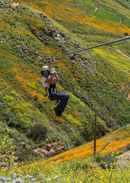 Một trải nghiệm thú vị khác để khám phá thiên nhiên của Corona chính là đu zipline tại Skull Canyon Ziplines. Ảnh: Skull Canyon Ziplines.