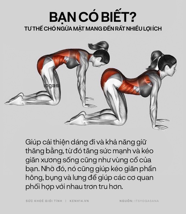 Bạn có biết: 10 tư thế yoga đơn giản sau đây đều có tác dụng rất tốt cho sức khoẻ và tinh thần - Ảnh 6.