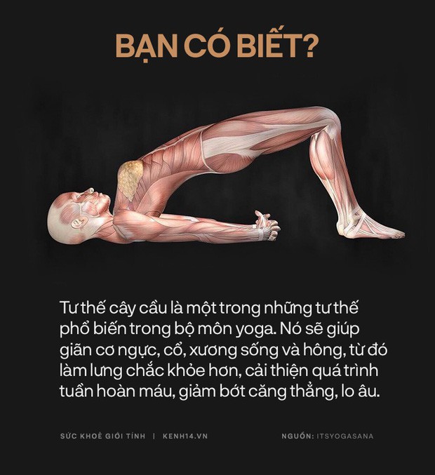 Bạn có biết: 10 tư thế yoga đơn giản sau đây đều có tác dụng rất tốt cho sức khoẻ và tinh thần - Ảnh 9.