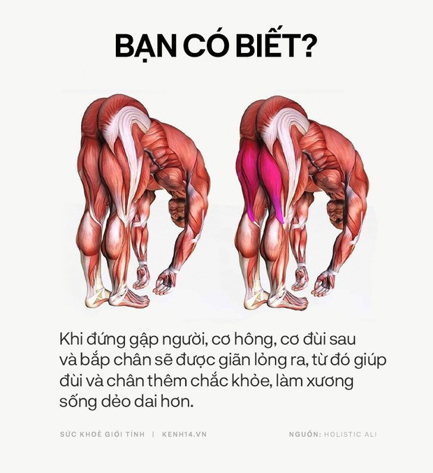 Bạn có biết: 10 tư thế yoga đơn giản sau đây đều có tác dụng rất tốt cho sức khoẻ và tinh thần - Ảnh 10.