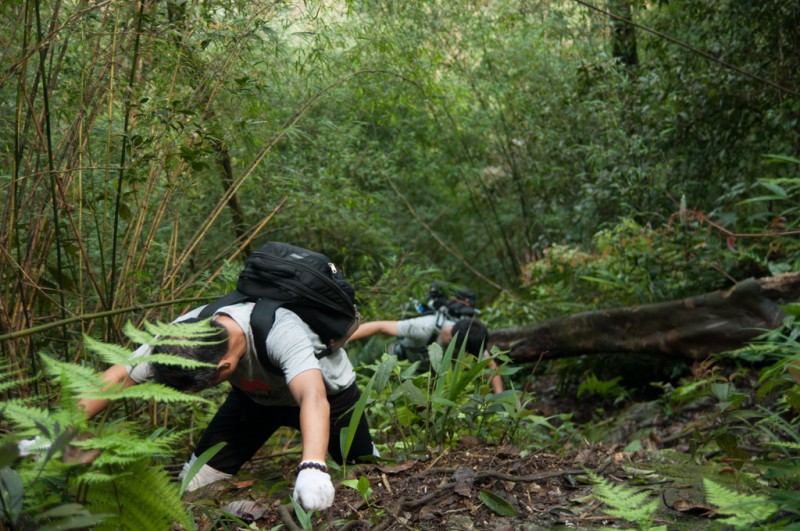 Trekking 3 dinh Tam Dao - thu thach ky nghi le 30/4-1/5 hinh anh 10 