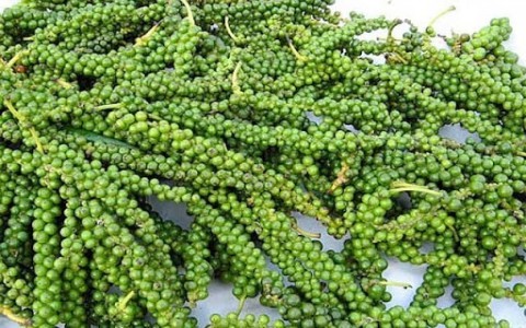 Giá tiêu hôm nay 10/8: Giữ quanh mốc 46.000 - 48.500 đồng/kg