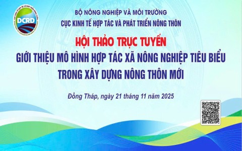 Hợp tác xã Nông nghiệp Tân Bình: Mô hình HTX điển hình trong xây dựng nông thôn mới