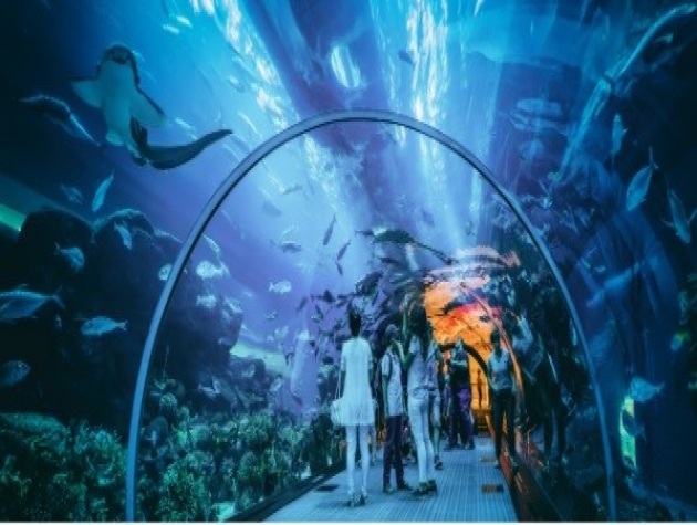 Thuỷ Cung Hòn Thơm mang lại lợi ích gì cho Hòn Thơm Paradise Island